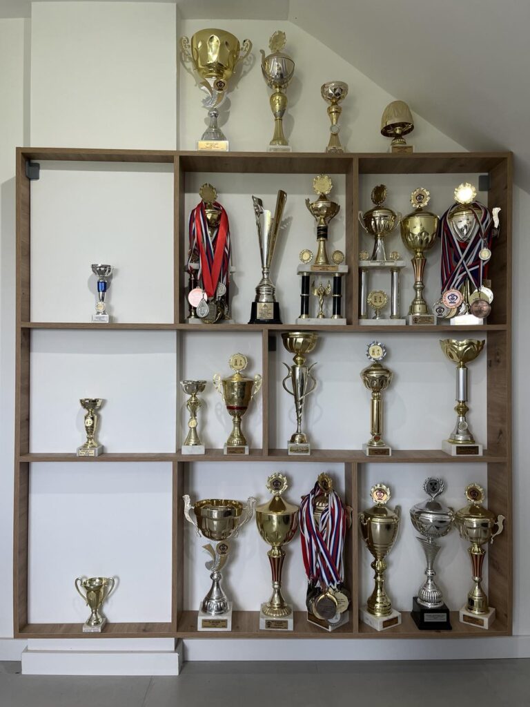 My trophies and medals